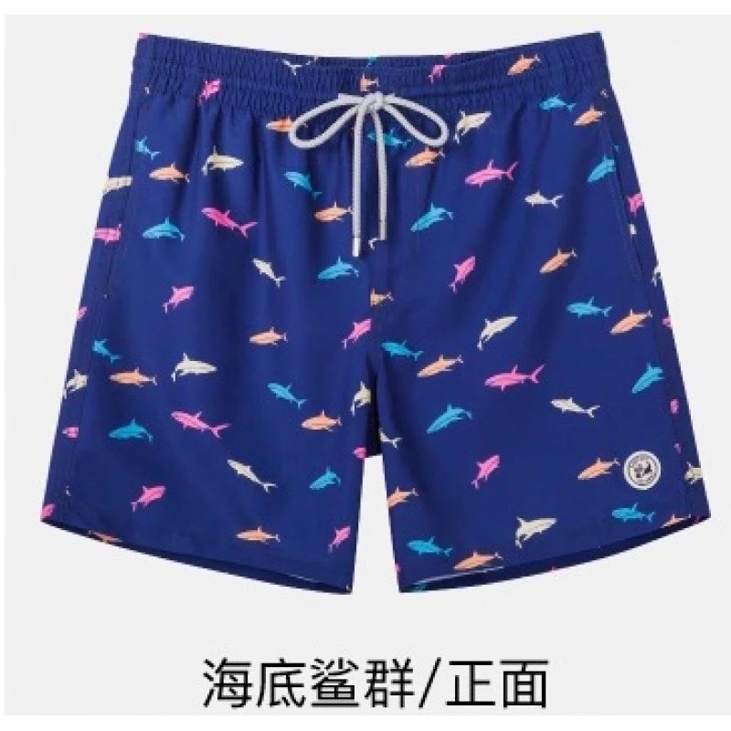 Shark School Under the Sea