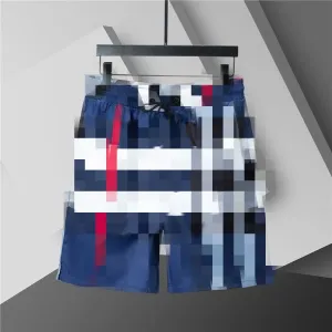 Design Boardshorts Navy Red White Stripe Shorts
