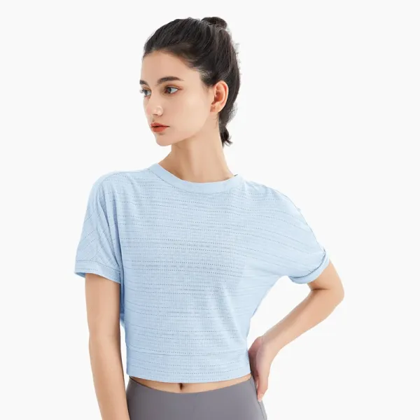 Design Cropped Mesh-Texture Short-Sleeve Top Light Blue T-Shirts - 1