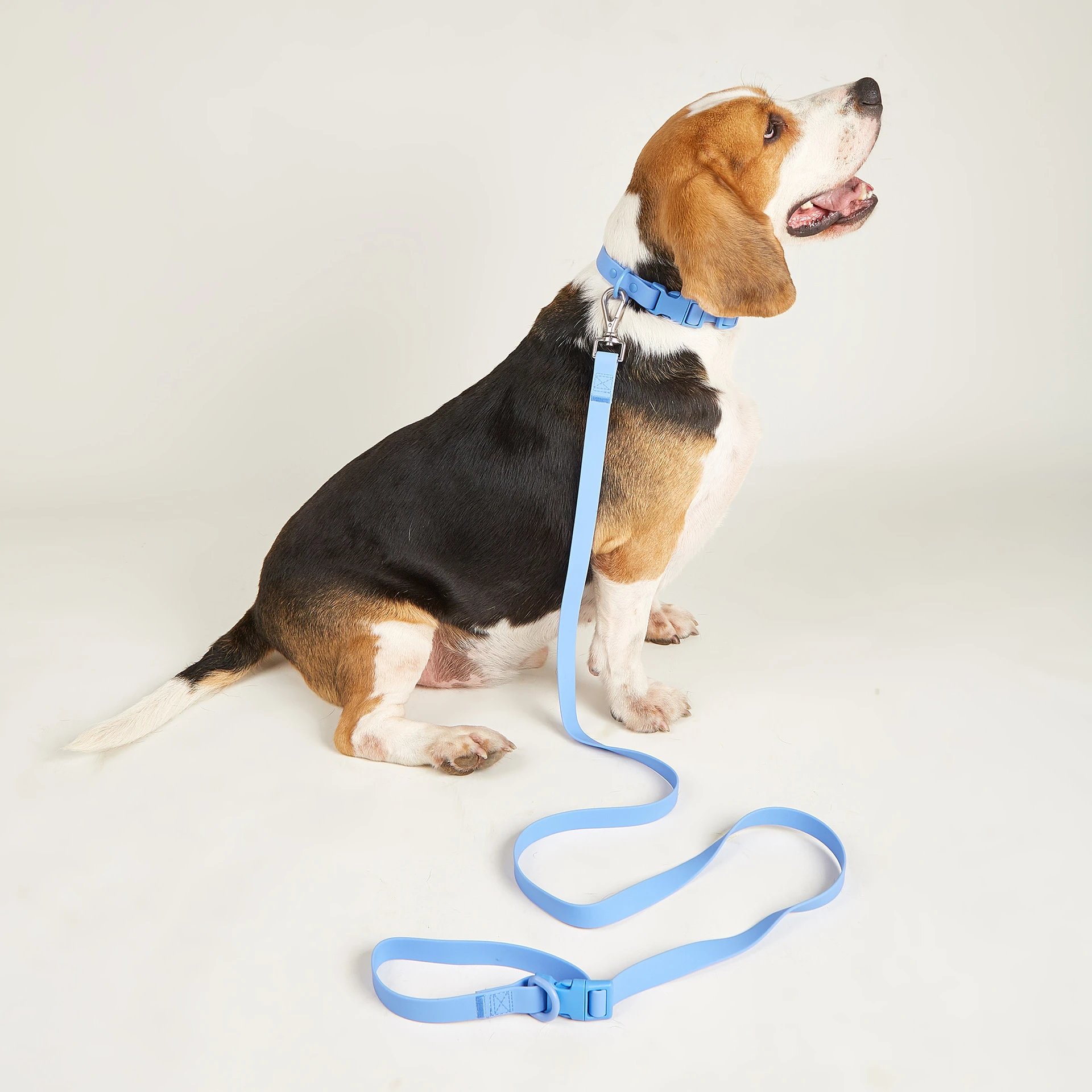 Design Silicone Dog Leash Yellow Pet Accessory - 7