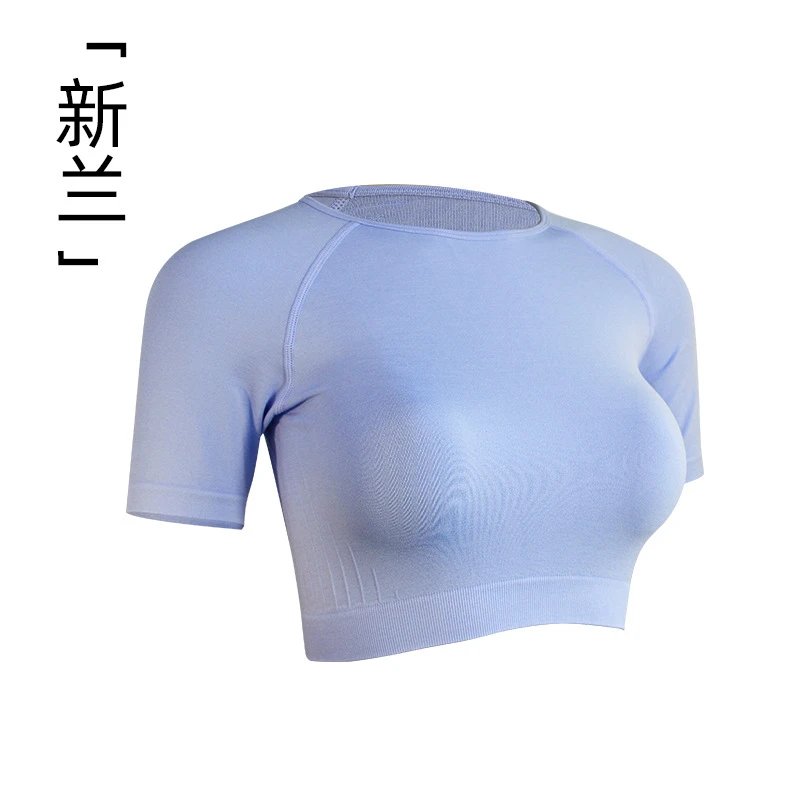 Y023新兰