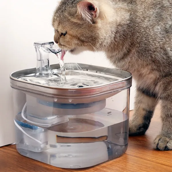 Design 304 Stainless Steel Pet Water Fountain USB Edition Electronics - 12