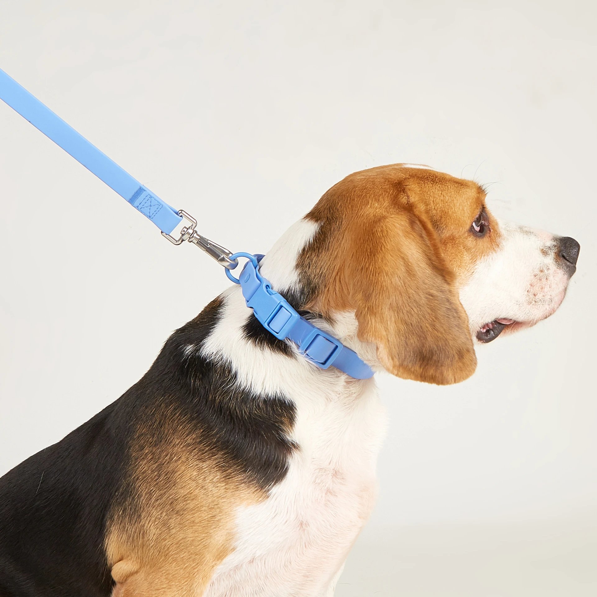 Design Silicone Dog Leash Yellow Pet Accessory - 8