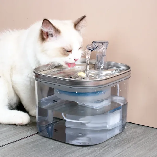 Design 304 Stainless Steel Pet Water Fountain USB Edition Electronics - 5