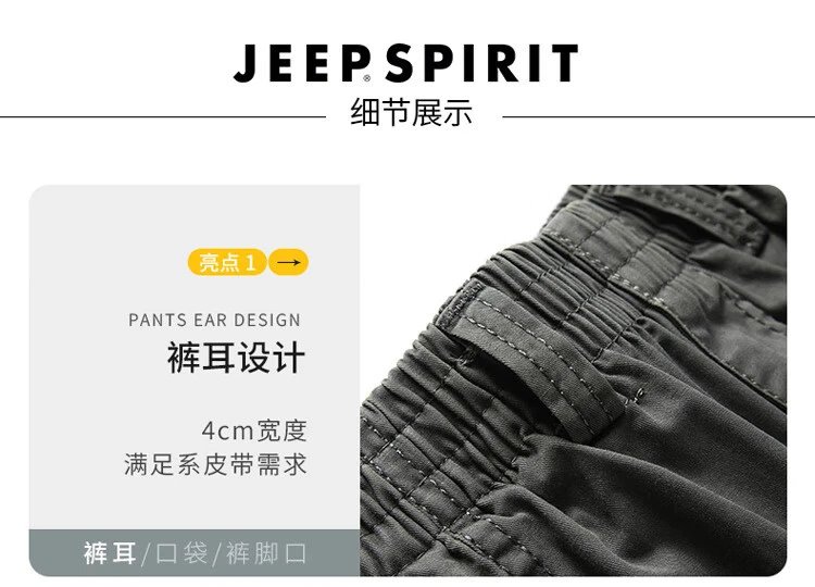 Design Jeep Spirit Cargo Pants Gray Pants - 19