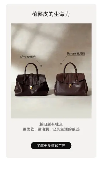 Design Structured Flap Lock Handbag Black - 5