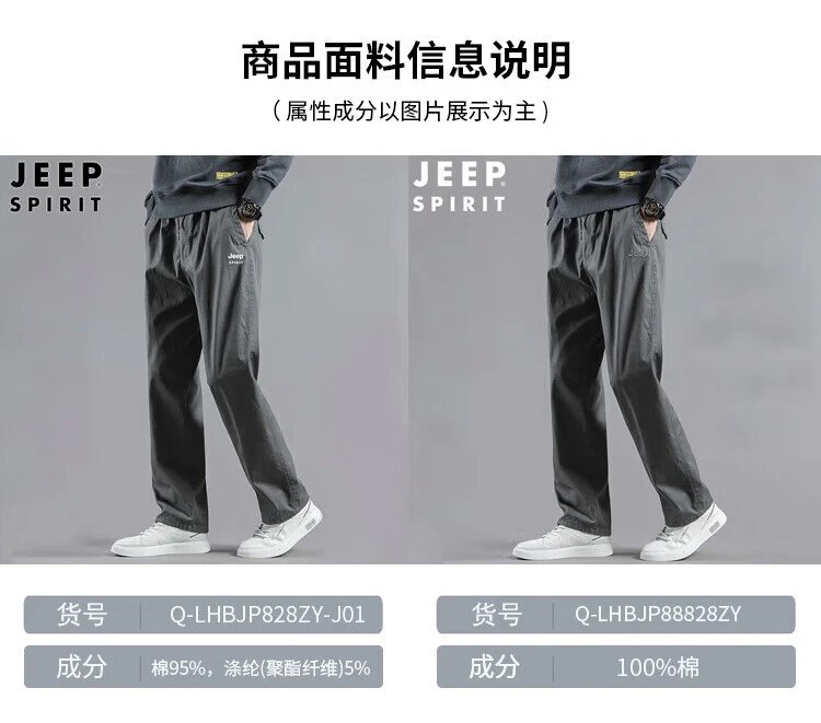 Design Jeep Spirit Cargo Pants Gray Pants - 12