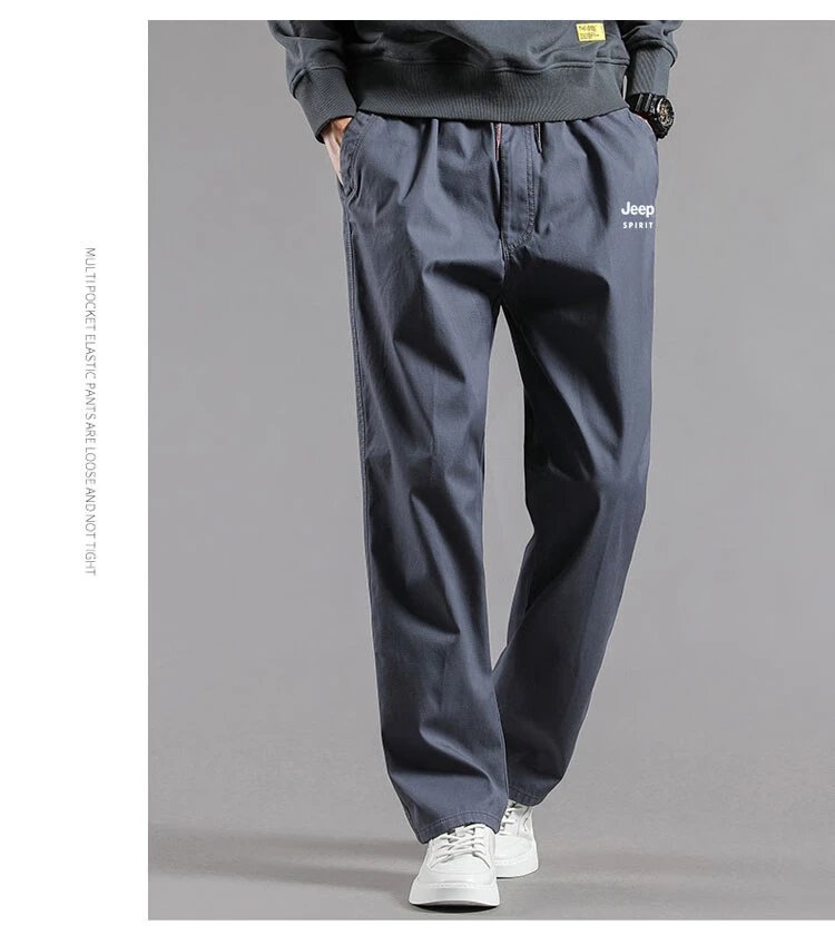 Design Jeep Spirit Cargo Pants Gray Pants - 31
