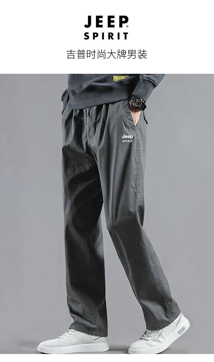 Design Jeep Spirit Cargo Pants Gray Pants - 4