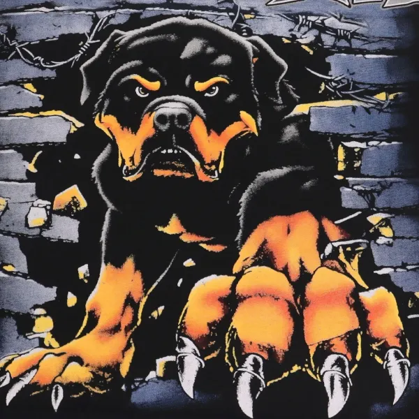 Design Valley Dreams Rottweiler Graphic Washed Black T-Shirt T-Shirts - 10