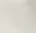 1 White 8915