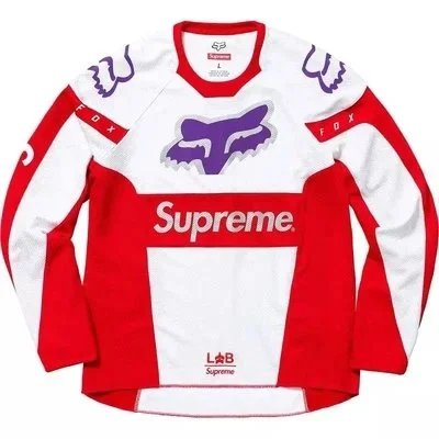 Supreme Downhill suit