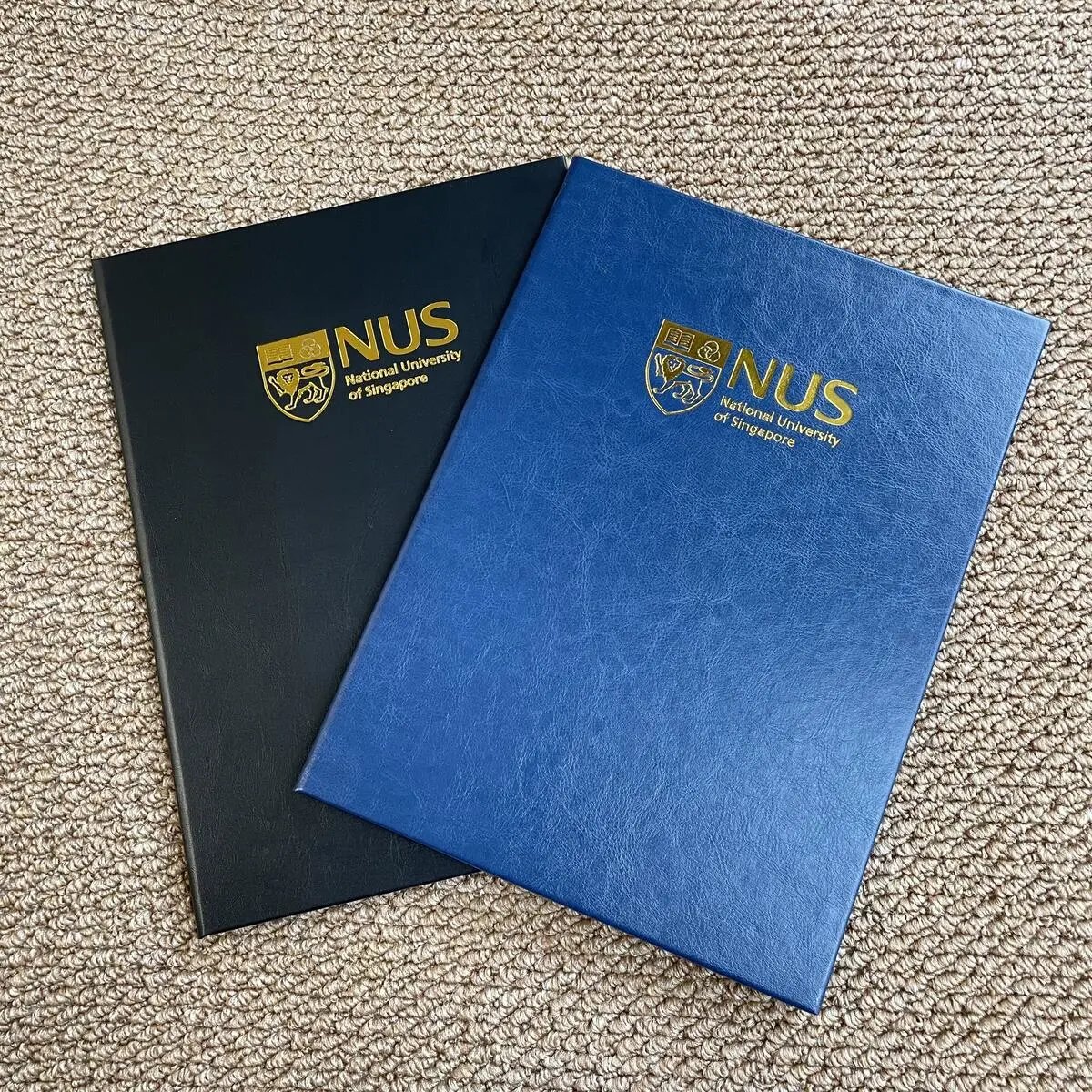 University graduation certificate cover