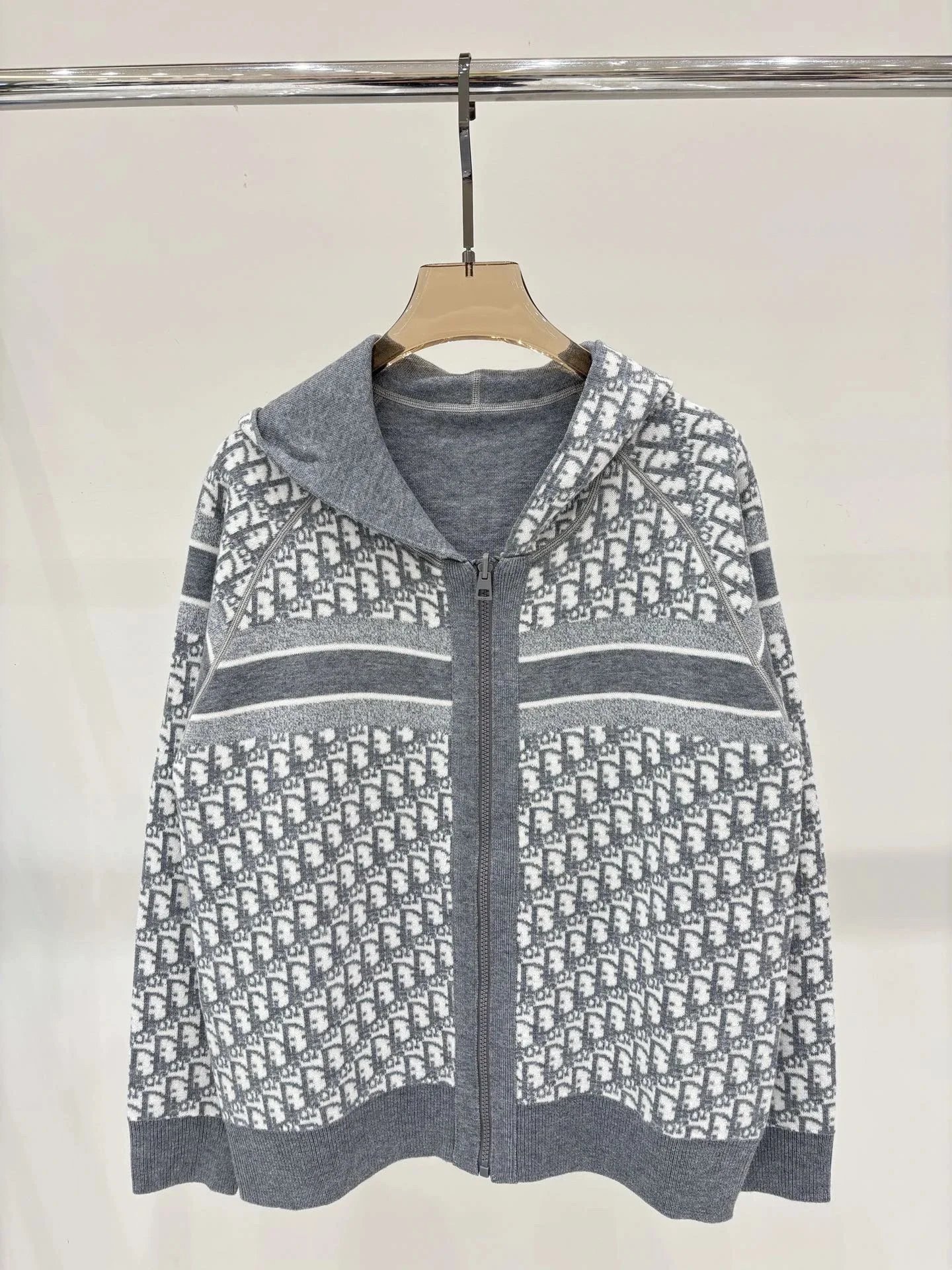 Dior Hoodie