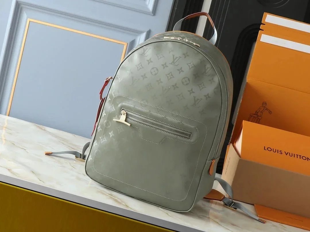 LV Backpack