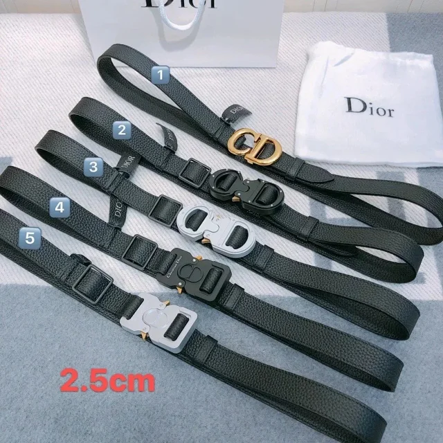 Dior Belts CD buckle leather belt product detail image 1