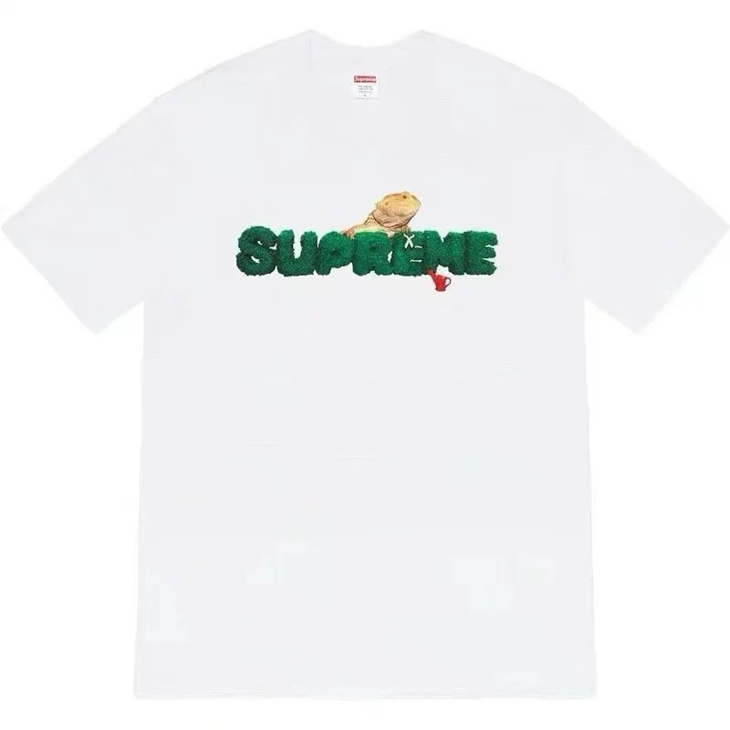 Supreme T-Shirts Box Logo Print — S017 White