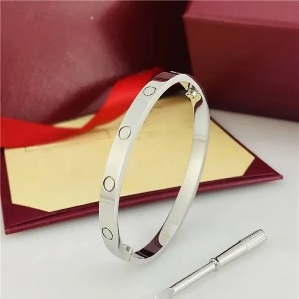 Tiffany & Co. T1 Single Diamond Rose Gold Bangle - 13