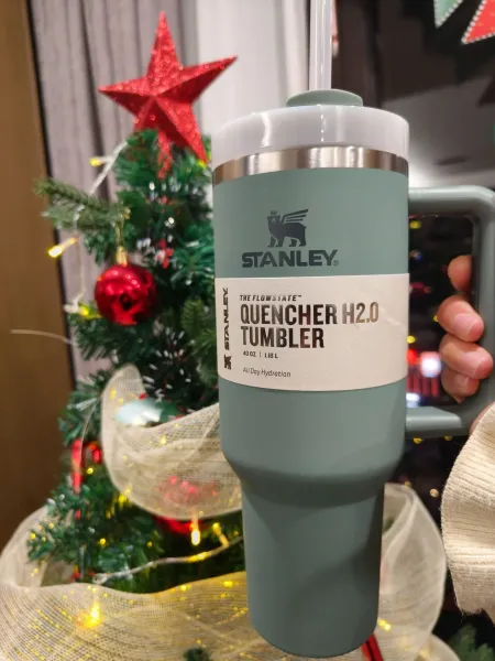 Stanley Quencher H2.0 Tumbler Sage Green Tumbler Accessories - 1