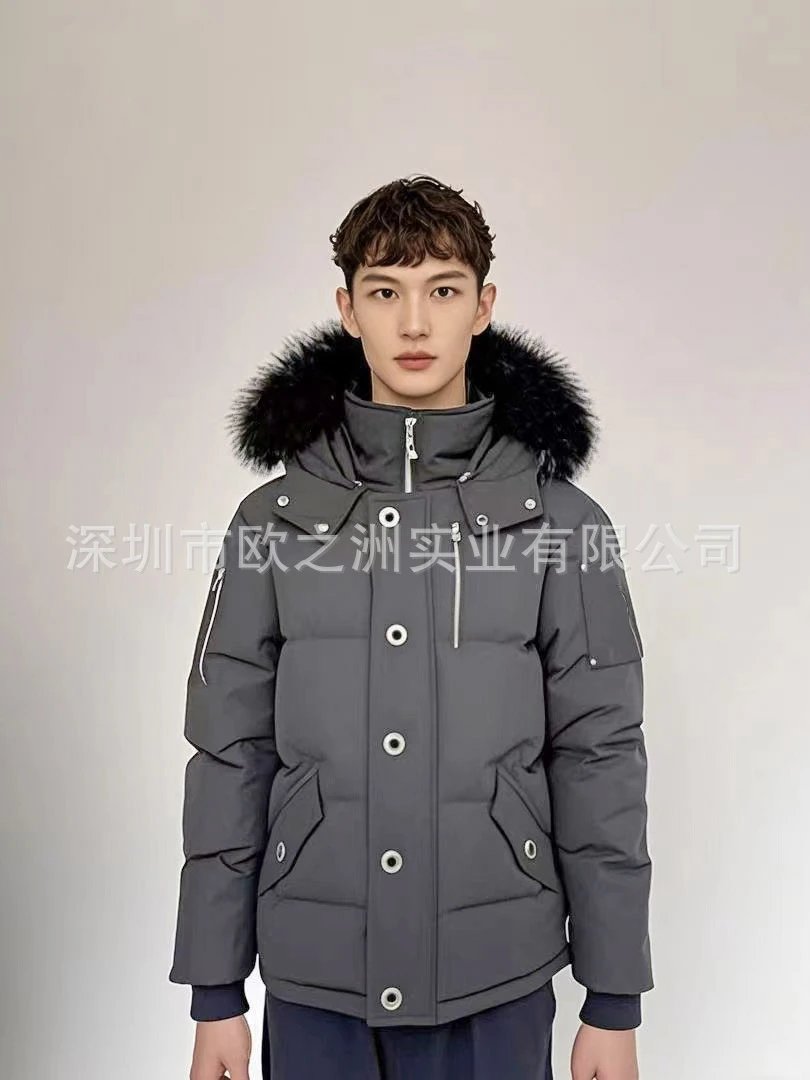 grey(black fur)