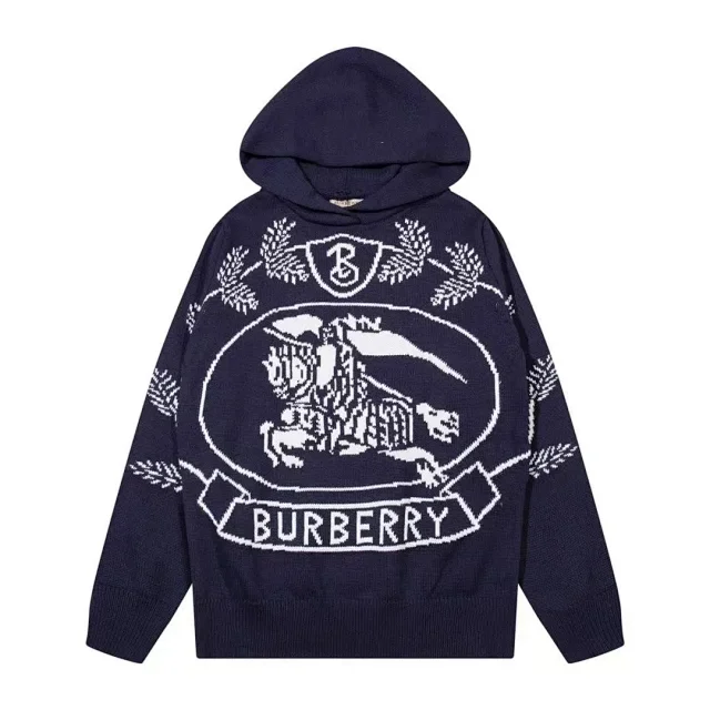 Burberry Knitwear Logo knit sweater and hooded product detail image 3