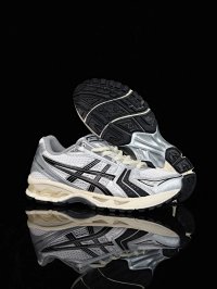 21-1201A457-101 (AS Silver with Black Stripes)