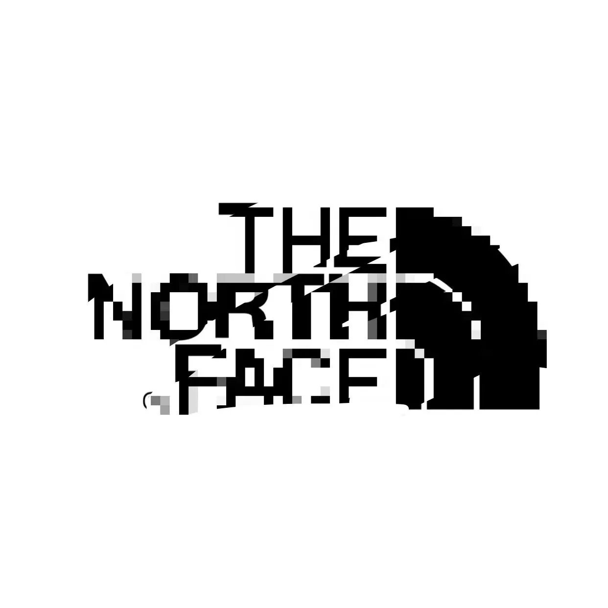 The North Face Logo
