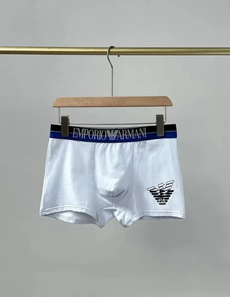 Emporio Armani Logo Waistband Boxer Briefs in Gray, Navy, and Black Underwear - 7