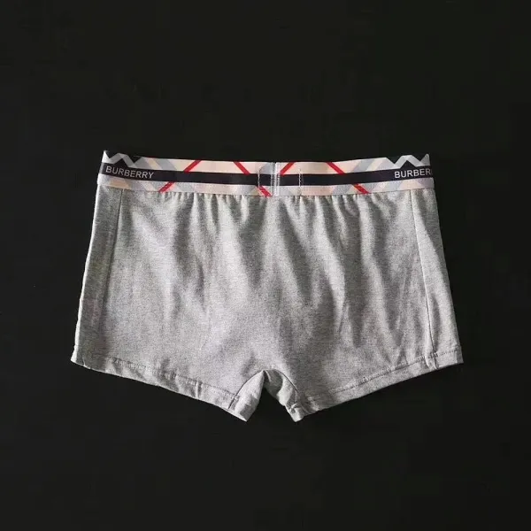 Burberry Boxer Briefs Set in Red, Black, and Gray with Iconic Check Waistband Underwear - 9