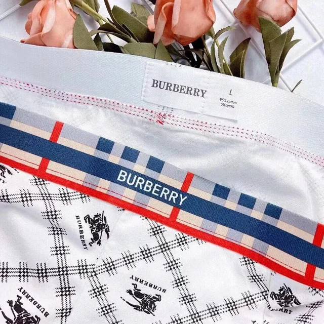 Burberry Underwear Plaid Logo Boxer Briefs, 3-Pack product detail image 9