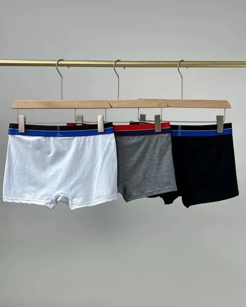 Emporio Armani Logo Waistband Boxer Briefs in Gray, Navy, and Black Underwear - 4