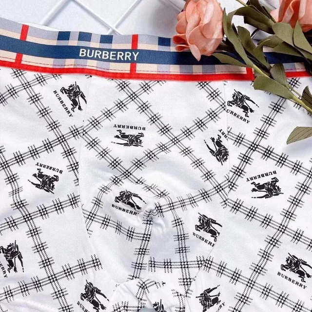 Burberry Underwear Plaid Logo Boxer Briefs, 3-Pack product detail image 7