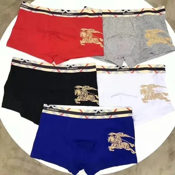 Burberry Boxer Briefs Set in Red, Black, and Gray with Iconic Check Waistband Underwear - 2