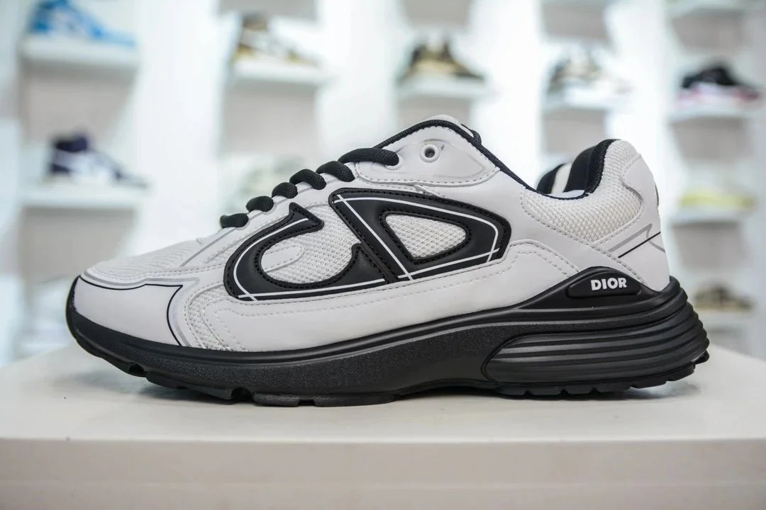 Dior Lifestyle Sneakers