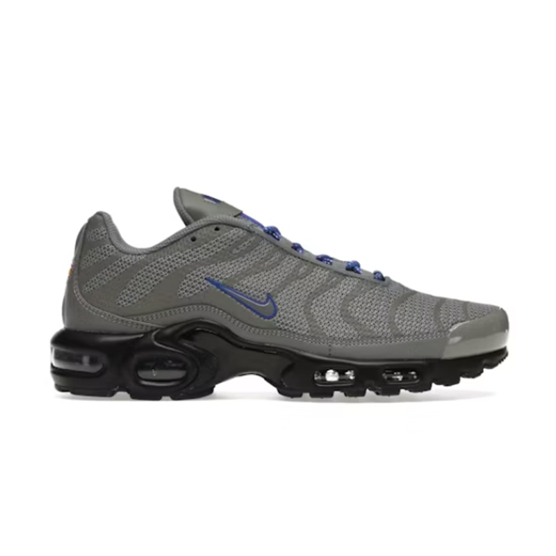 Nike Air Max Plus Gray and Purple Sneakers - 2