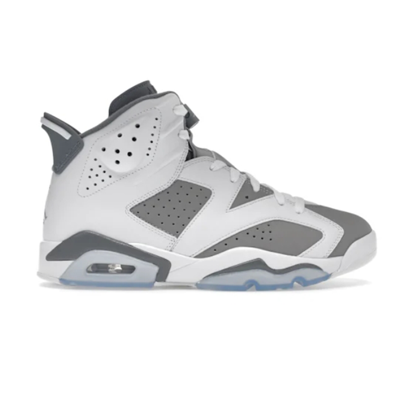 Air Jordan 6 Sneaker