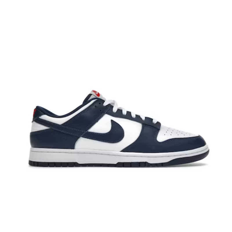 Nike Dunk Low Sneakers