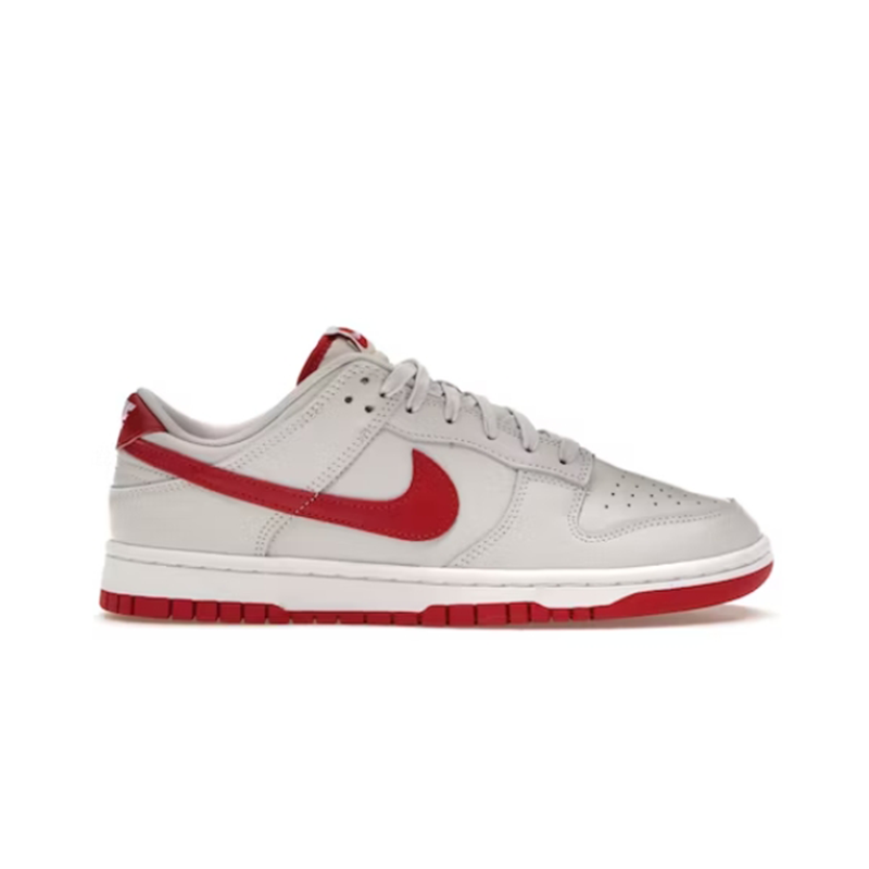 Nike Dunk Low Sneakers