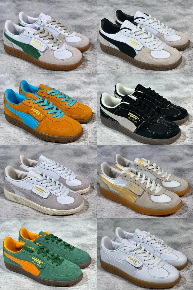 P MA Palermo Trainer