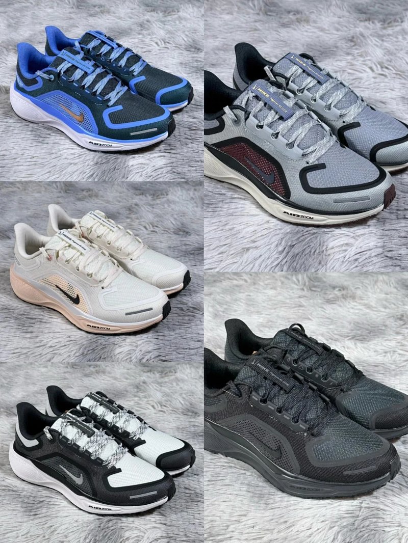 Zoom Pegasus 41 Gore-tex