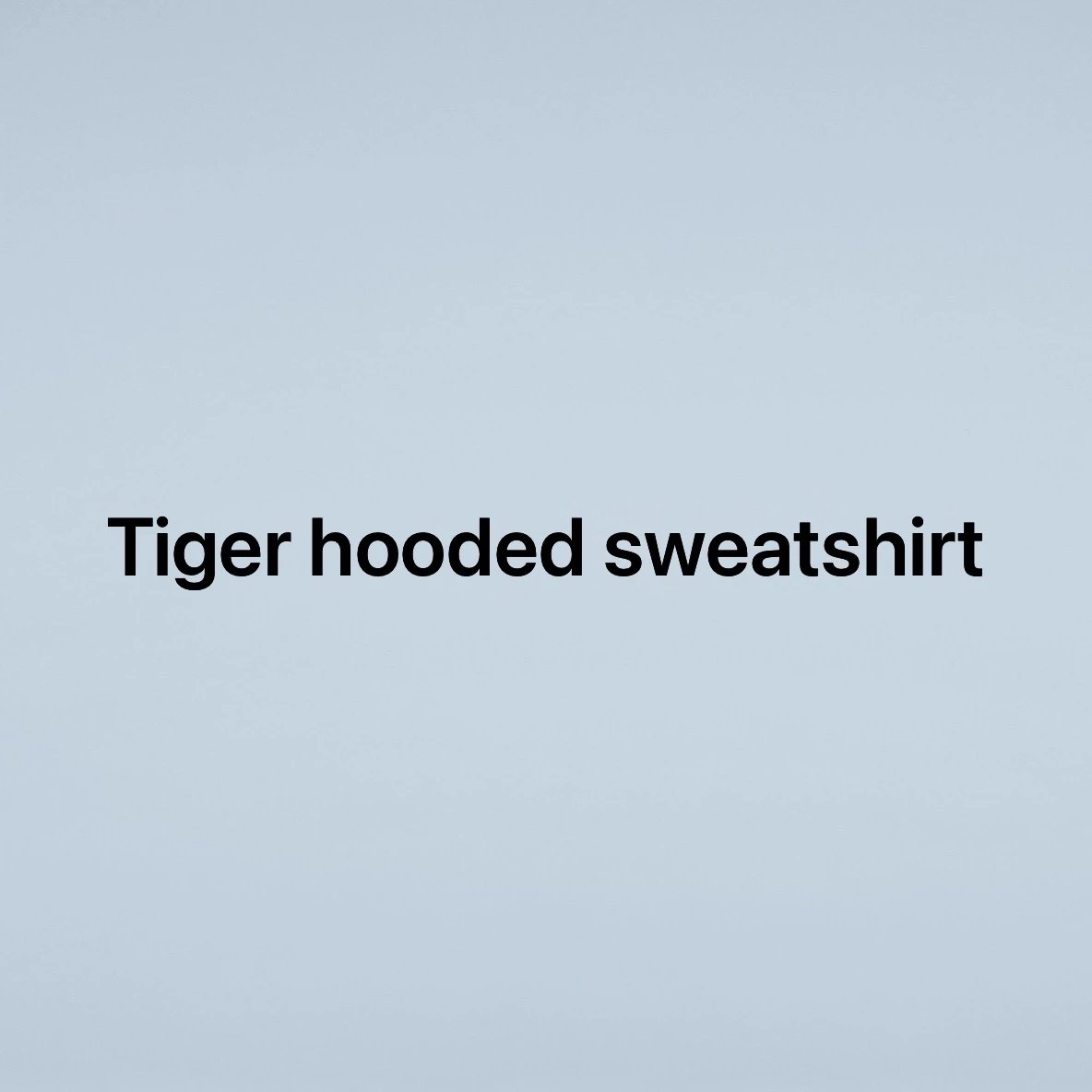 Gucci Hoodie