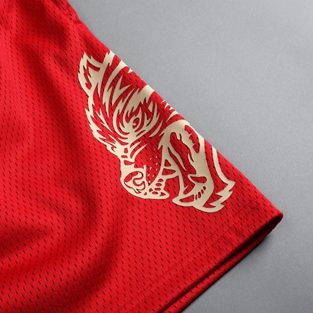 Darc Sport Wolves Shorts: seller detail photo 13
