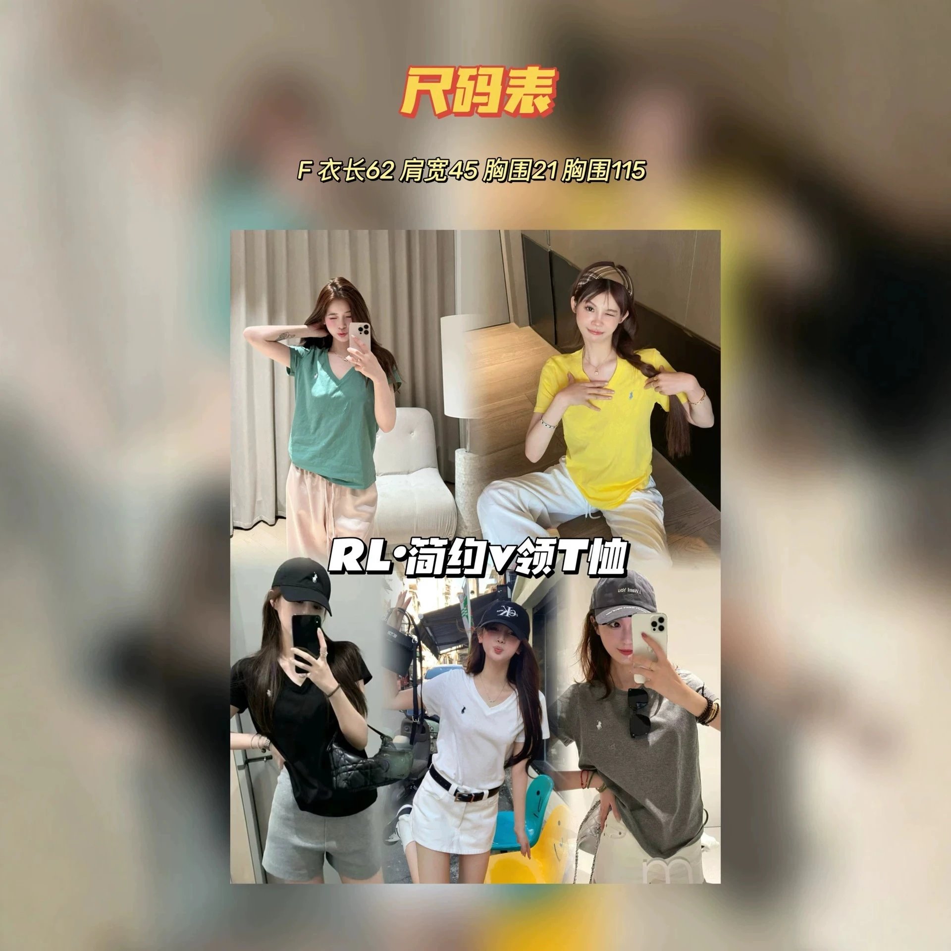 RL V-Neck T-Shirt Multi-Color Casual Top
