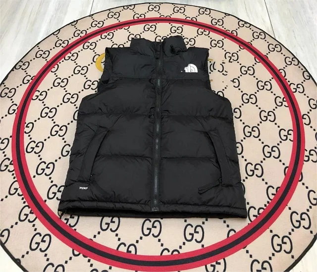 The North Face Vests 700-fill hooded color-block puffer vest product detail image 2