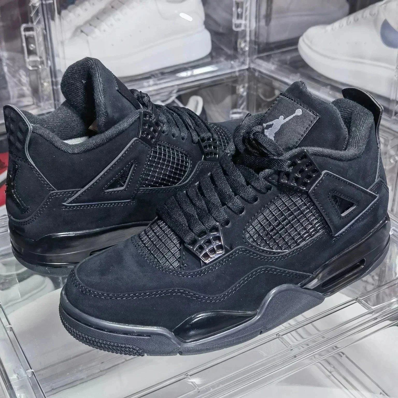 Black Cat Colorway