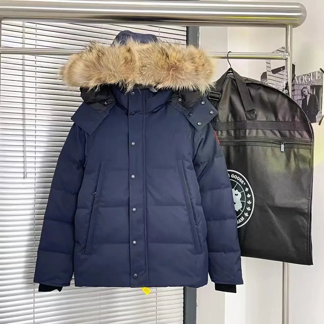 High-end 29-style Ca*a* G*o^ down jacket 90% white goose down