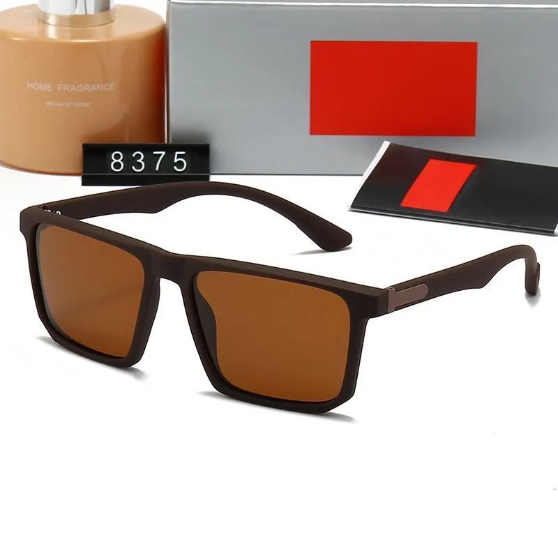 🔥雷家8375 太阳镜 男女 户外休闲街拍经典款时尚墨镜 PC偏光镜片