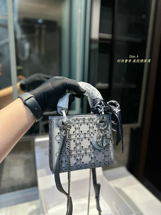 Dior Journey Hobo and Lady product detail image 4