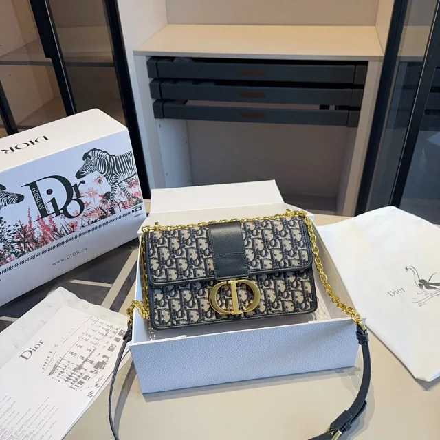 Dior Journey Hobo and Lady product detail image 10