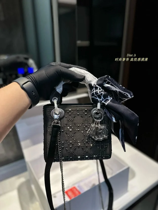Dior Journey Hobo and Lady product detail image 5